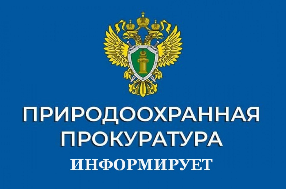 Нарушения в сфере обращения с отходами.