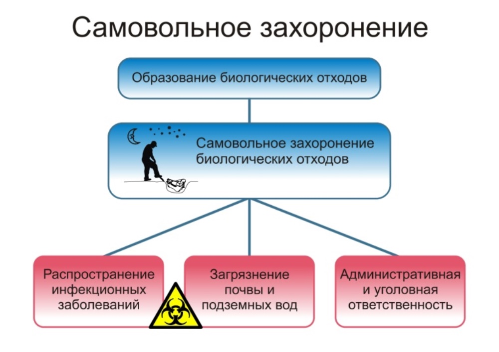 П А М Я Т К А О неотложных действиях при заболевании и/или падеже животных, и правилах безопасного обращения с биологическими отходами.