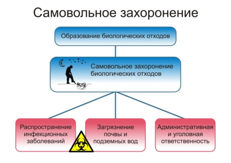 П А М Я Т К А О неотложных действиях при заболевании и/или падеже животных, и правилах безопасного обращения с биологическими отходами. П А М Я Т К А О неотложных действиях при заболевании и/или падеже животных, и правилах безопасного обращения с биологическими отходами.