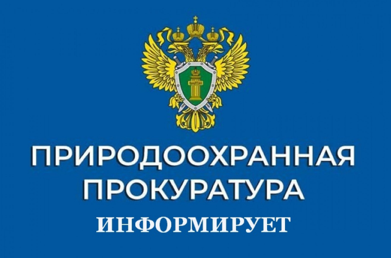 Проверка сообщений о возгорании отходов в г. Вичуга. Проверка сообщений о возгорании отходов в г. Вичуга.